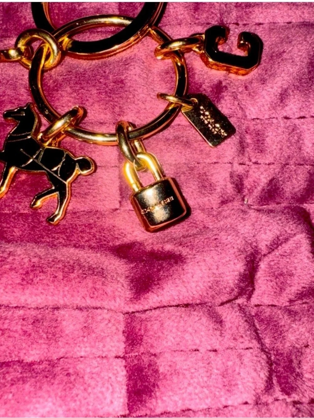 Coach Gold Horse & Carriage Padlock Key Chain Fob, Bag Charm Key Ring NWT F65167